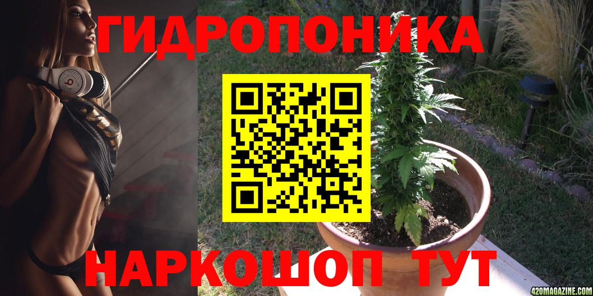 Конопля ГИДРОПОН Отрадный